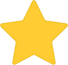 1 Gold Star